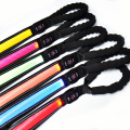 Led Illuminated Light Up Reflective Dog Leash